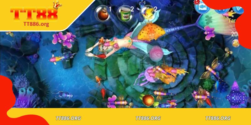 Bộ sưu tập súng và vật phẩm đa dạng